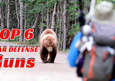 Top 6 Best Bear Defense Guns