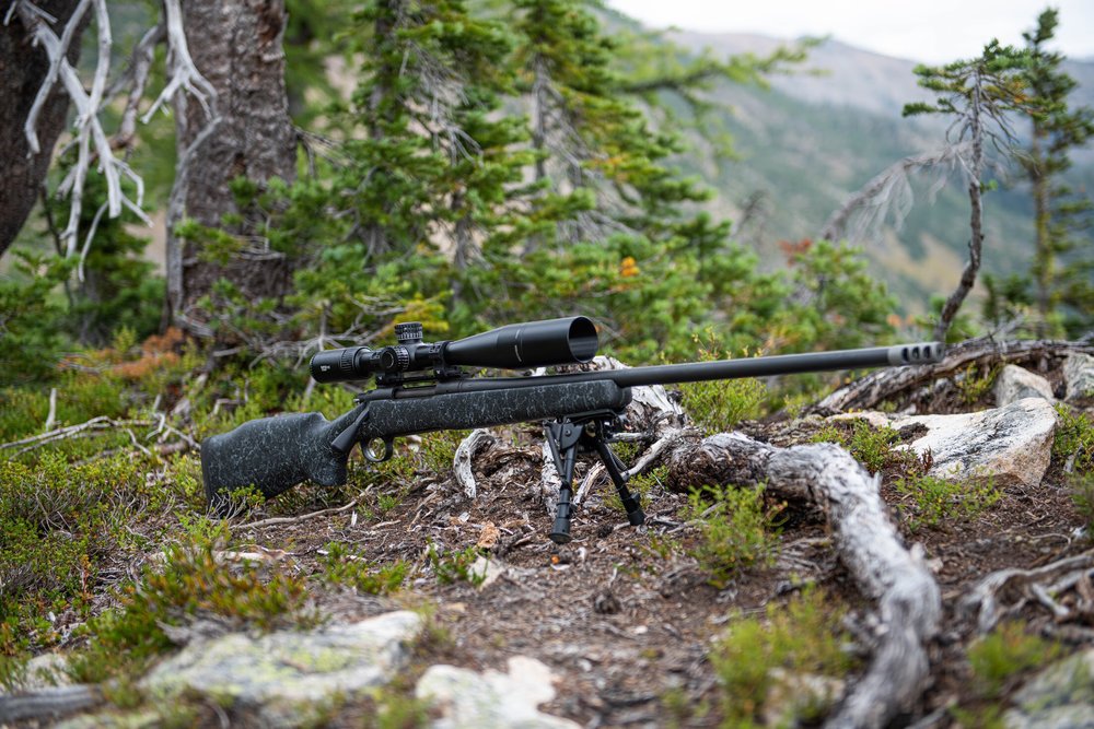 6 Most Powerful Air Rifle Reviews of 2022