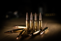 8 Hottest New Hunting Cartridges In 2022
