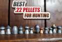Best .22 Hunting Pellet