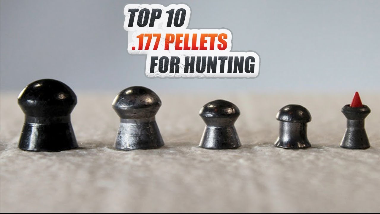 TOP 8 Best .177 Hunting Pellet