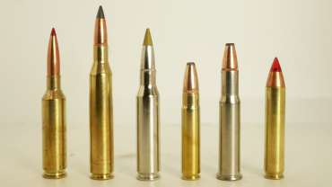 5 Forgotten .35-Caliber Cartridges. Are They Doomed